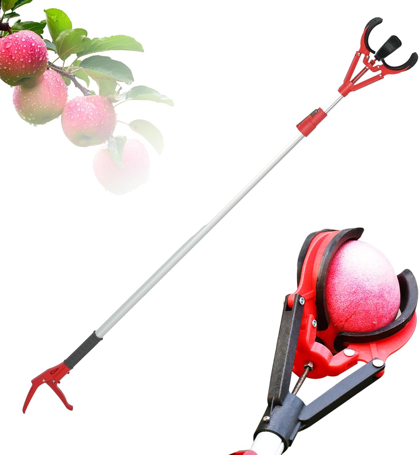 Garden Fruit Picker Graber Tools for Seniors – High Tree Fruit Harvester with Soft Rubber Picking Clips
