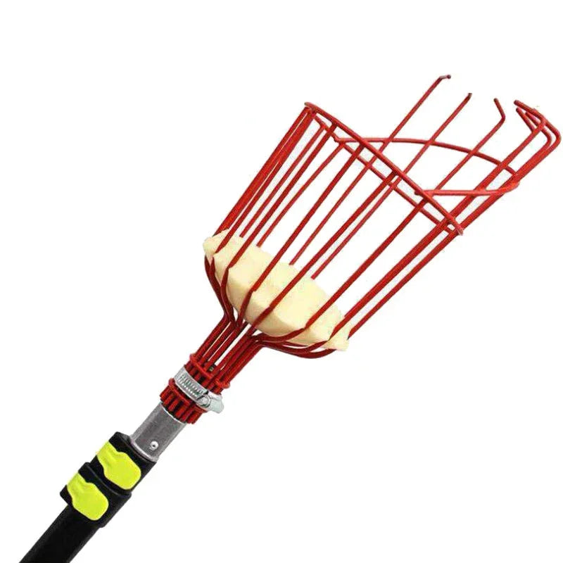 Safe Fruit Picker Tool for Seniors – No Ladders Needed